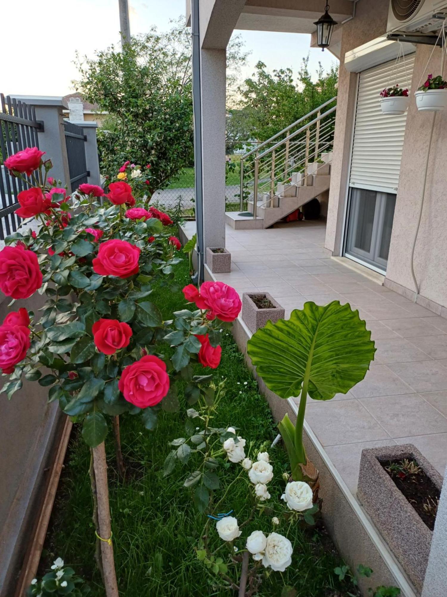 Entire House Floor - 2-Bedroom Cozy & Peaceful Apartment Podgorica Exterior foto